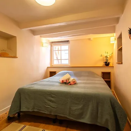 Cosy Volti Ap4434 By Riviera Homes *